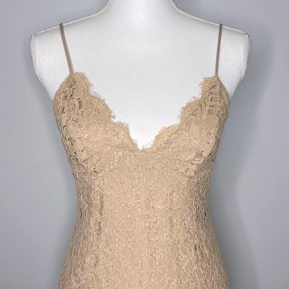 Bardot Sienna Lace Slip Dress